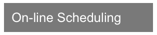  On-line Scheduling
